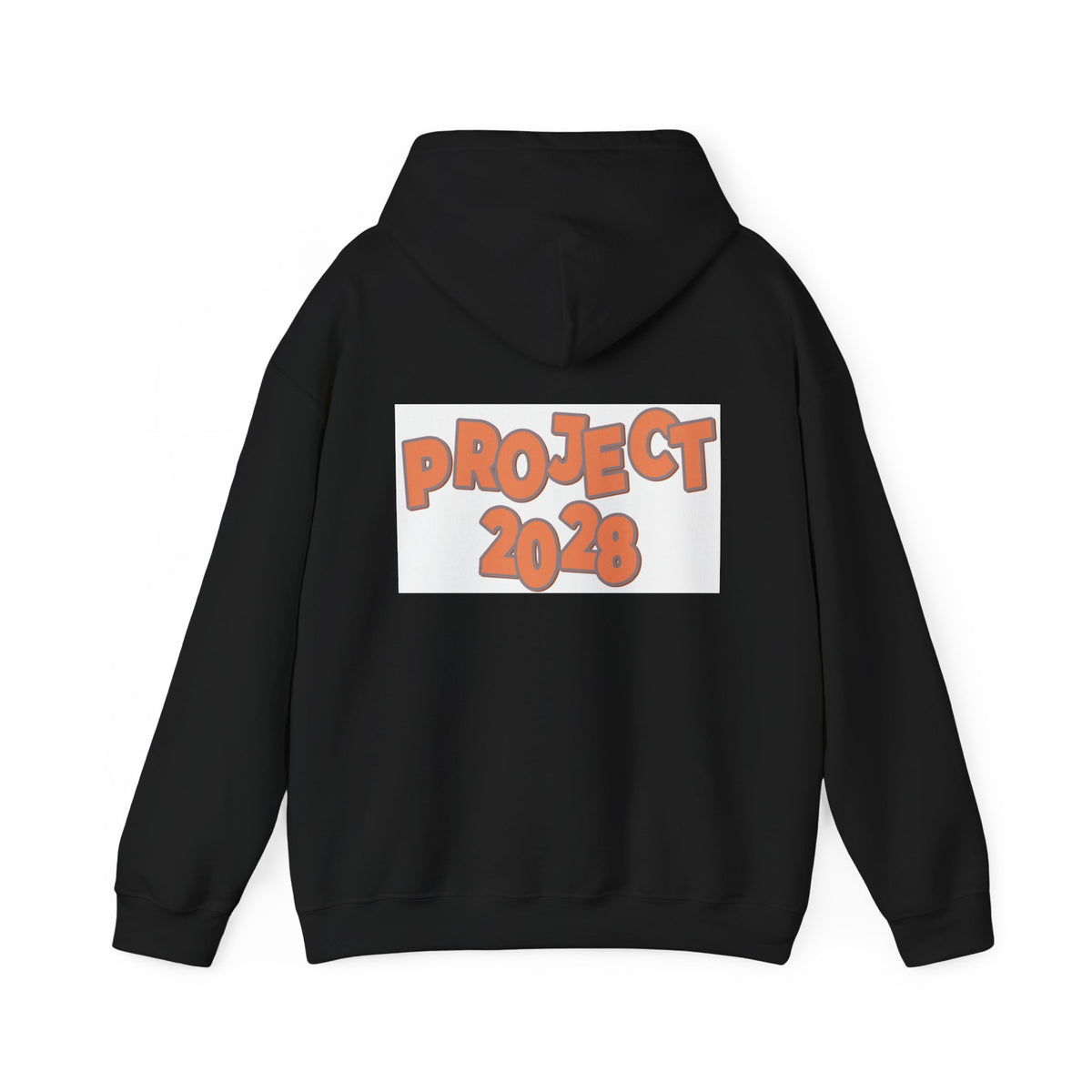 Project 2028 Hoodie | Protect Democracy text design