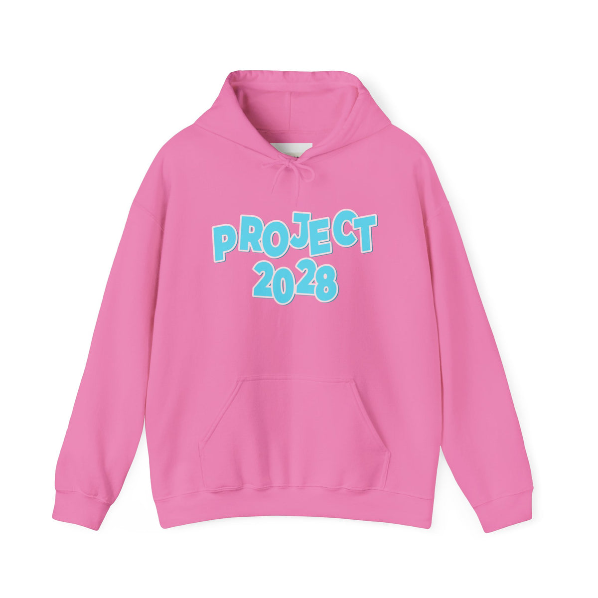 Project 2028 Hoodie | Democracy | Social Awareness
