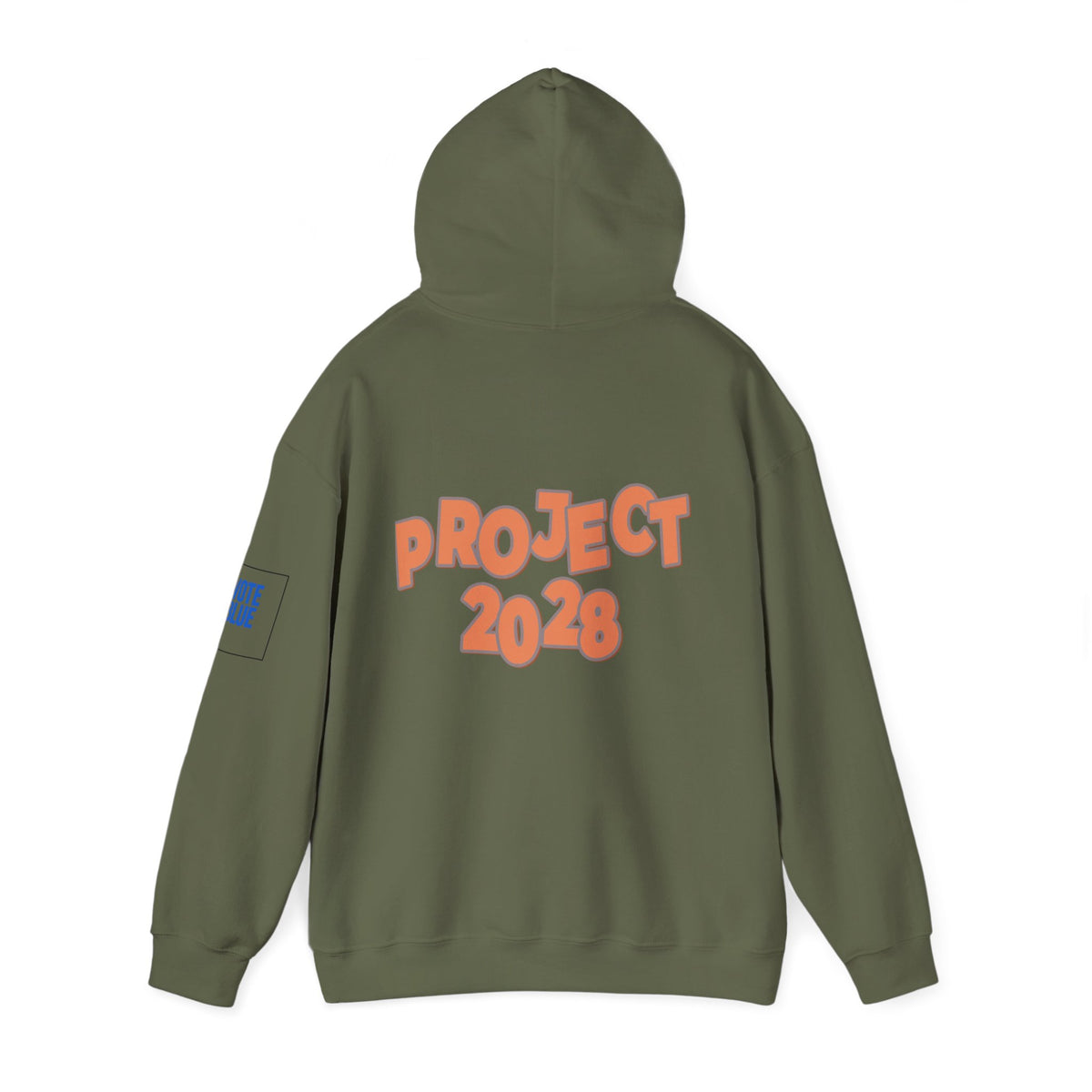 Protect Democracy Project 2028 Hoodie | Social Awareness