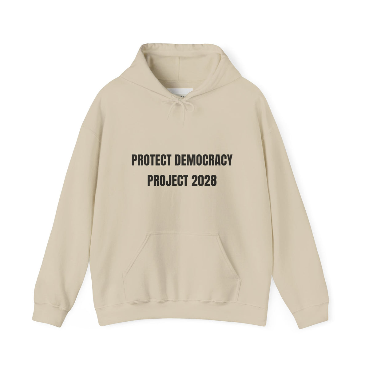 Protect Democracy Project 2028 Hoodie | Social Awareness