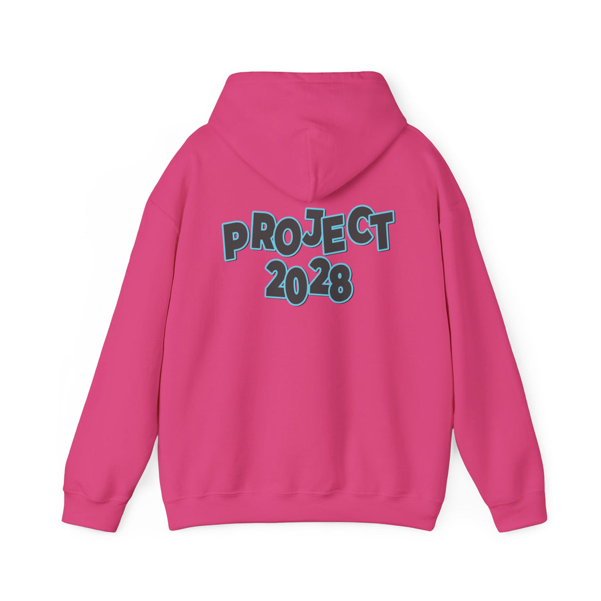 Project 2028 Hoodie | Protect Democracy, Project 2028 design