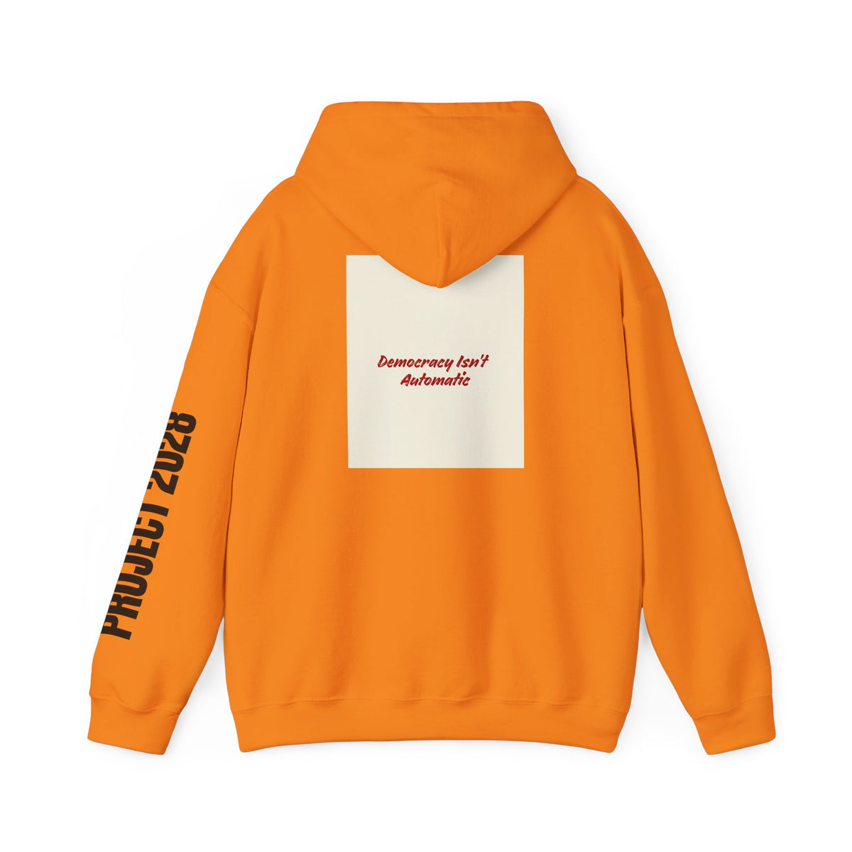 Project 2108 Graphic Hoodie | Democracy Isn't Automatic Back Print