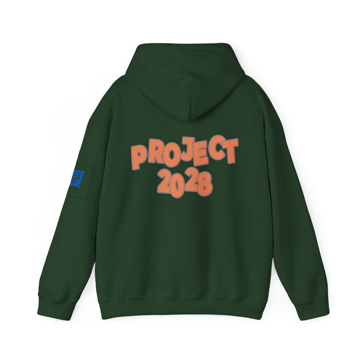 Protect Democracy Project 2028 Hoodie | Social Awareness
