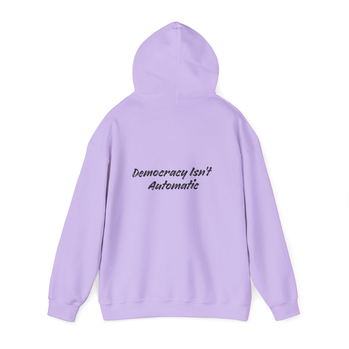 Protect Democracy Project 2028 Hoodie | democracy text design