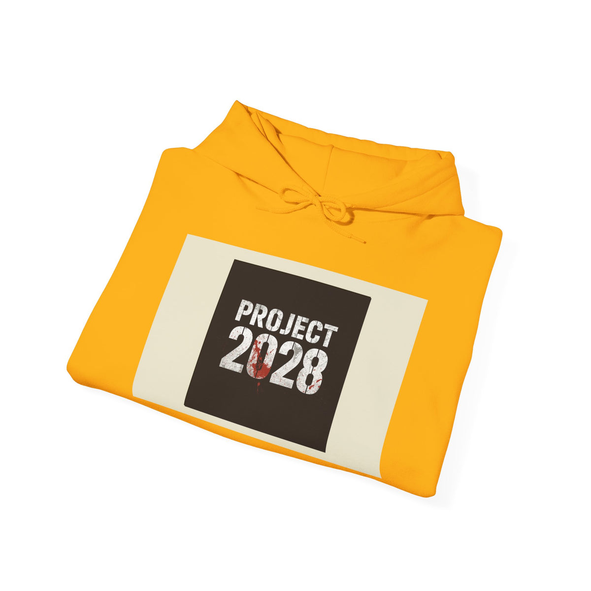 Copy of Product 2028 graphic Hoodie | Democracy Isn't Automatic slogan back
