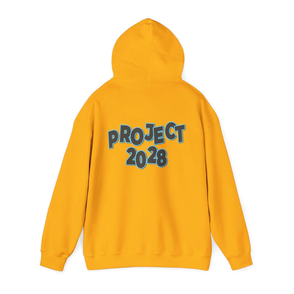 Project 2028 Hoodie | Protect Democracy, Project 2028 design