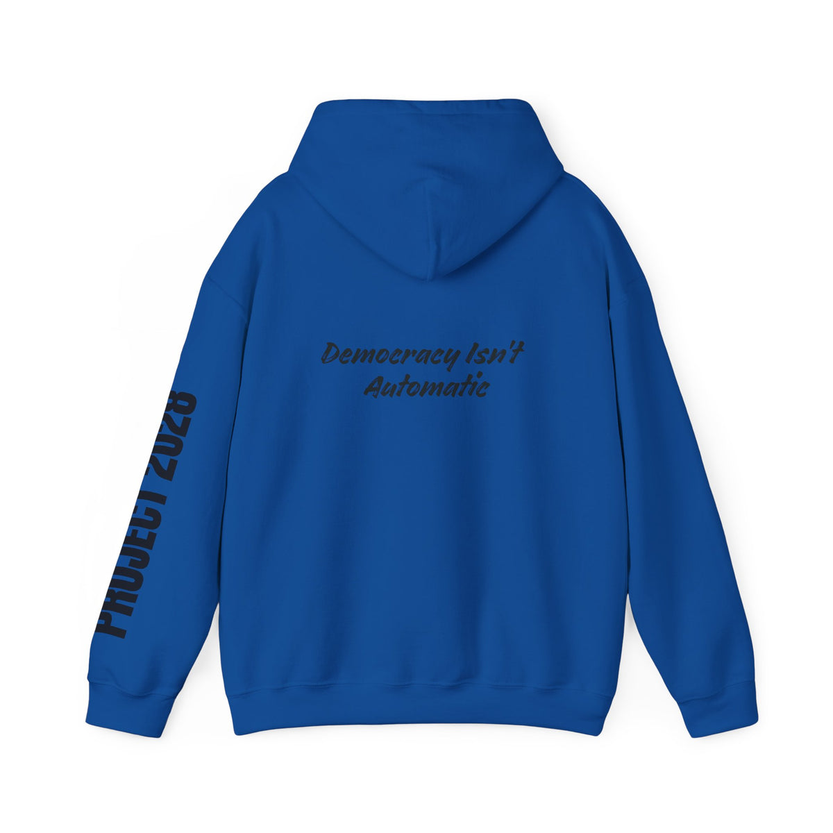 Protect Democracy Project 2028 Hoodie | Social Awareness