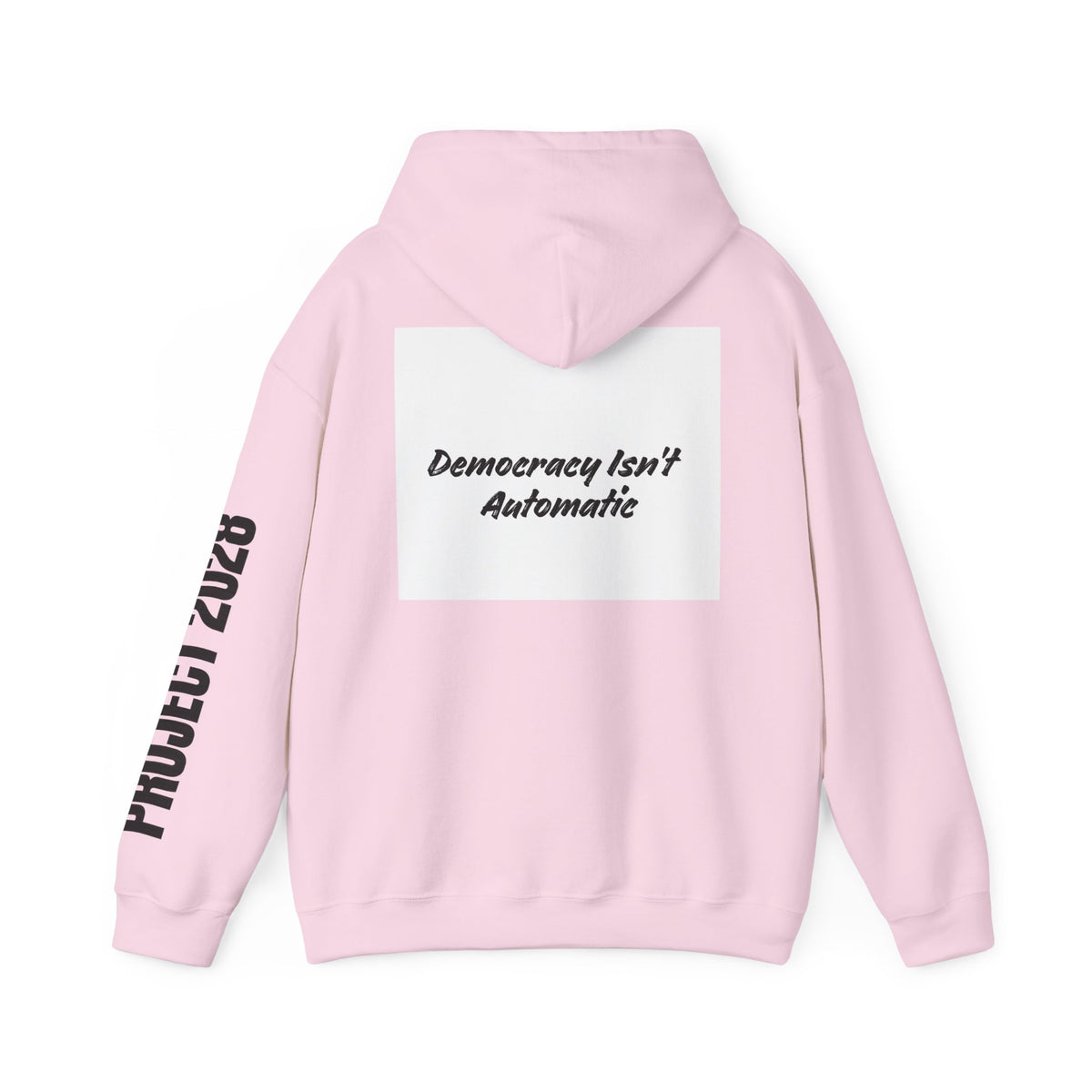 Protect Democracy Project 2028 Hoodie | Social Awareness