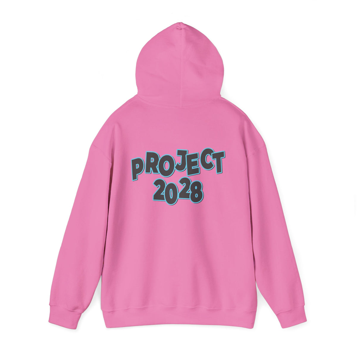 Project 2028 Hoodie | Protect Democracy, Project 2028 design