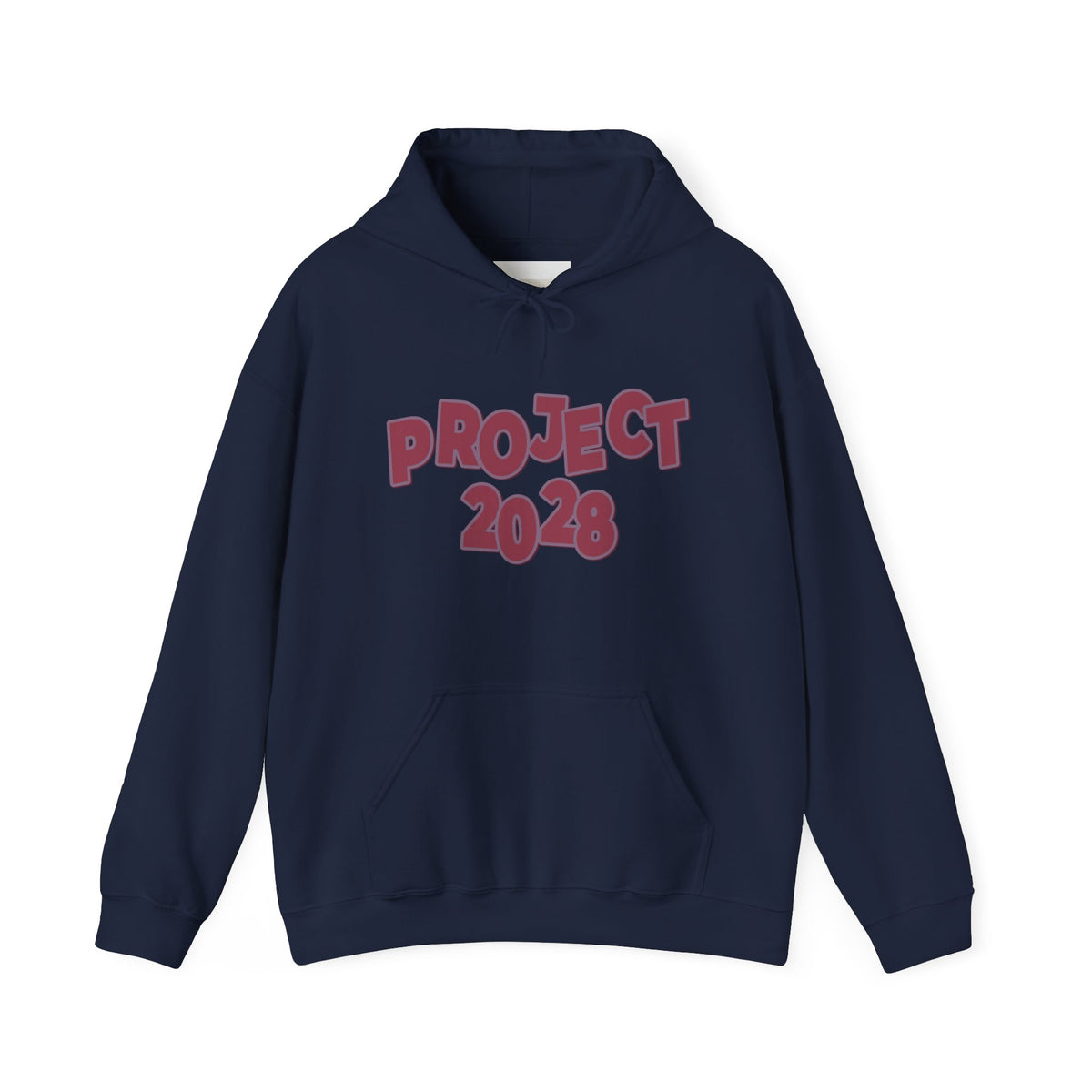 Project 2028 Hoodie | 'Democracy I Civic Engagement