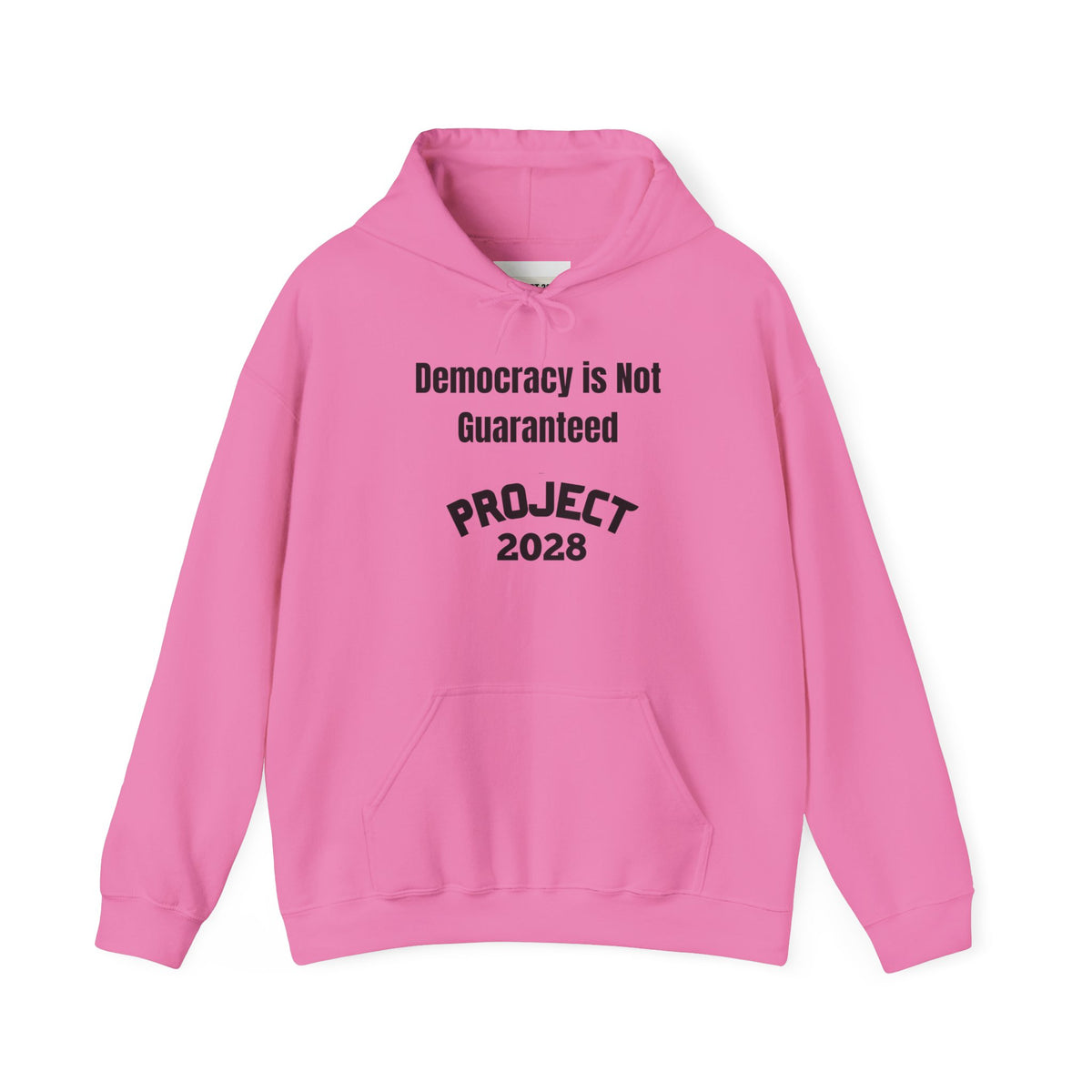 Project 2028 hoodie | Democracy | Social Awareness