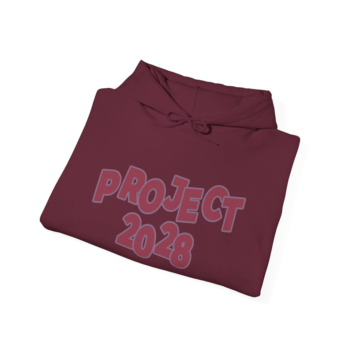 Project 2028 Hoodie | Social Awareness - 2