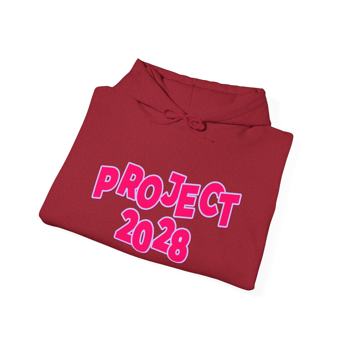 Project 2028 Hoodie | Social Awareness