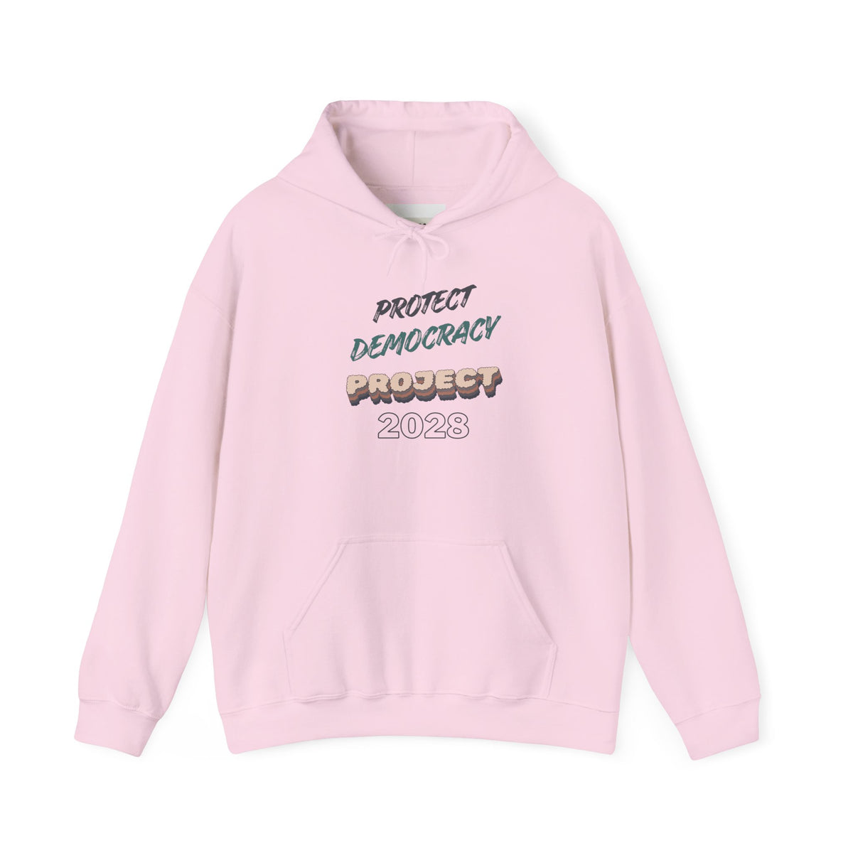 Project 2028 Hoodie | Protect Democracy graphic hoodie