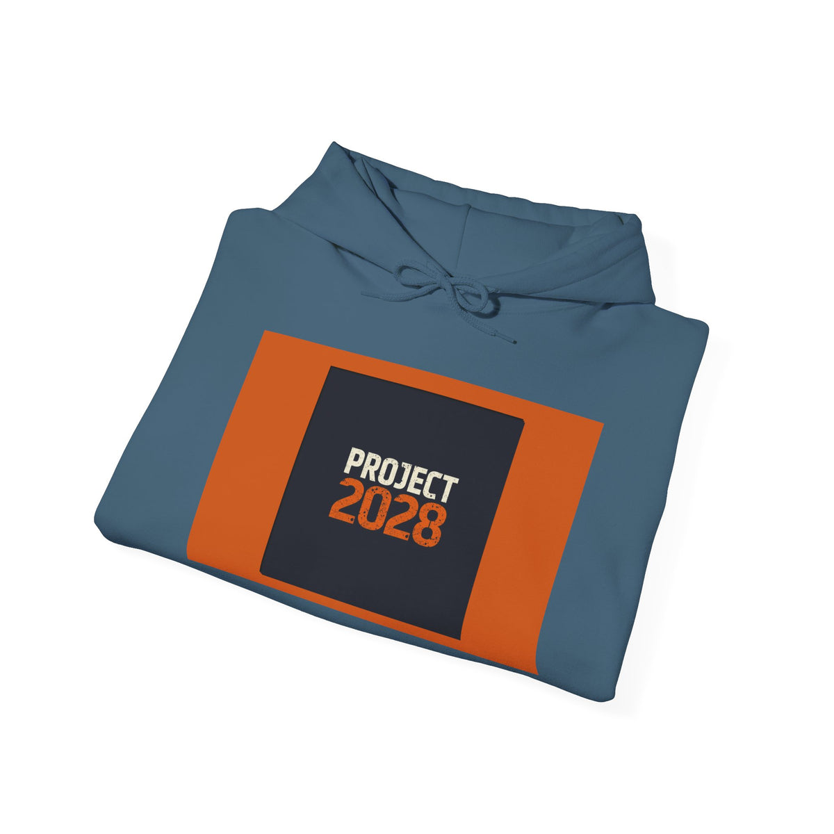 Project 2108 Graphic Hoodie | Democracy Isn't Automatic Back Print