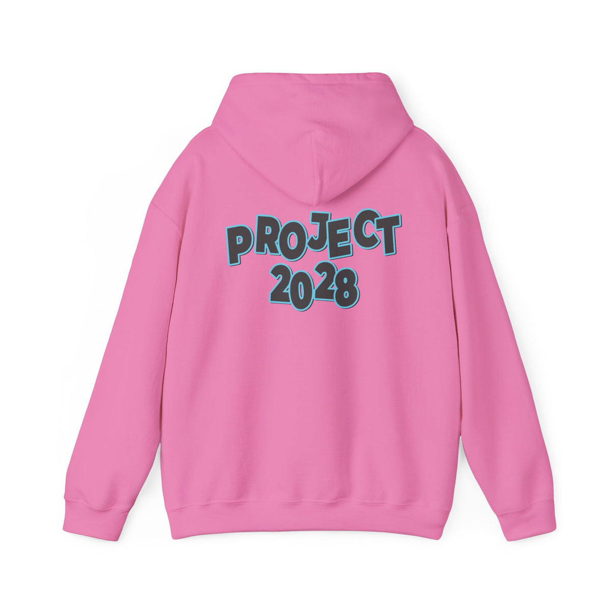 Project 2028 Hoodie | Protect Democracy, Project 2028 design