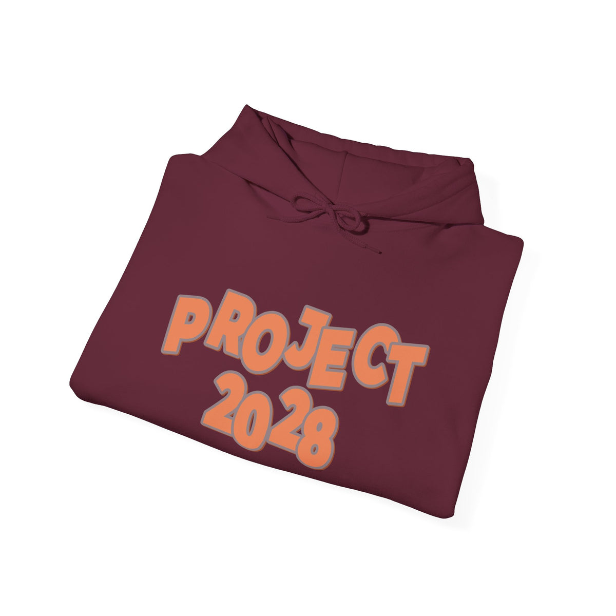 Project 2028 Hoodie | Democracy | Social Justice Message