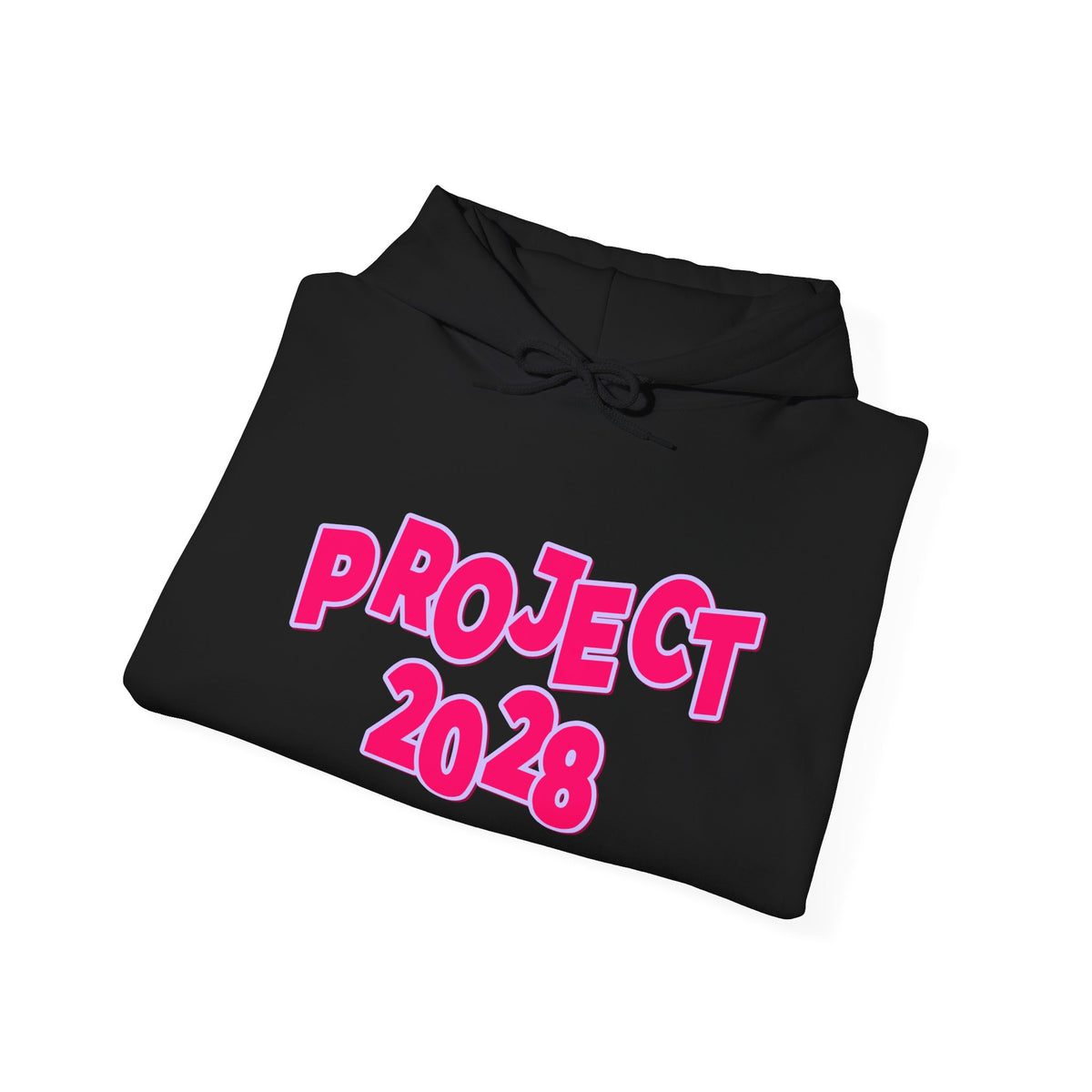 Project 2028 Hoodie | Social Awareness