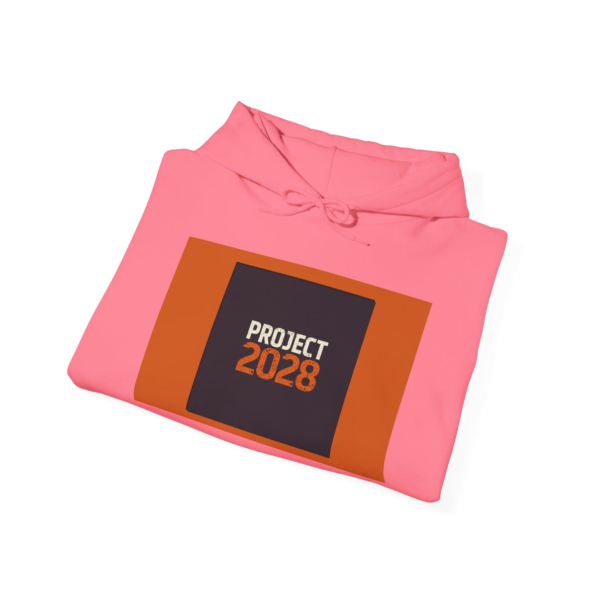 Copy of Copy of Project 2028 Graphic Hoodie | Democracy