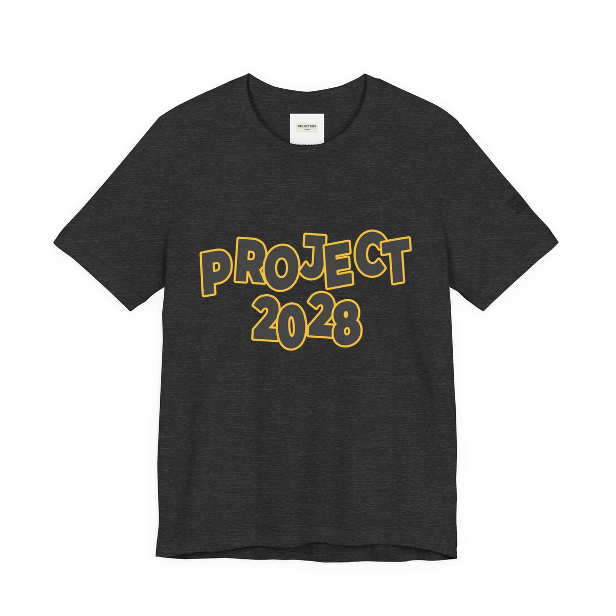 Project 2028 Graphic Tee — "Spirit Airlines Is Gone. Democracy Could Be Next. Vote Blue." Political Statement T-Shirt - Make a Statement Without Saying a Word!