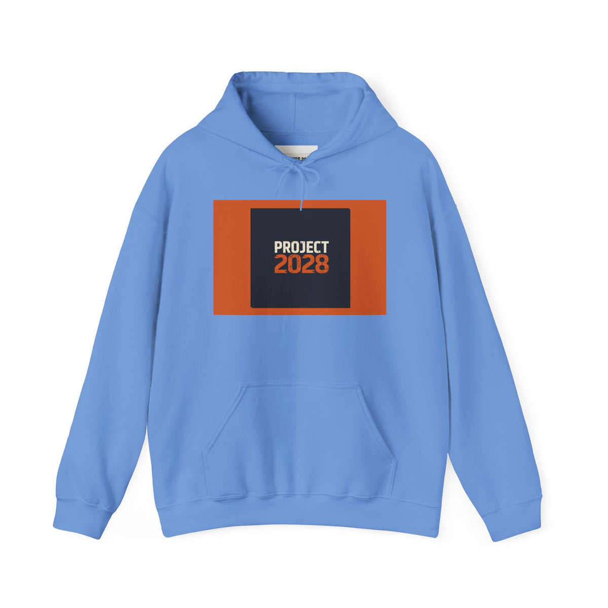 Copy of Copy of Project 2028 Graphic Hoodie | Democracy