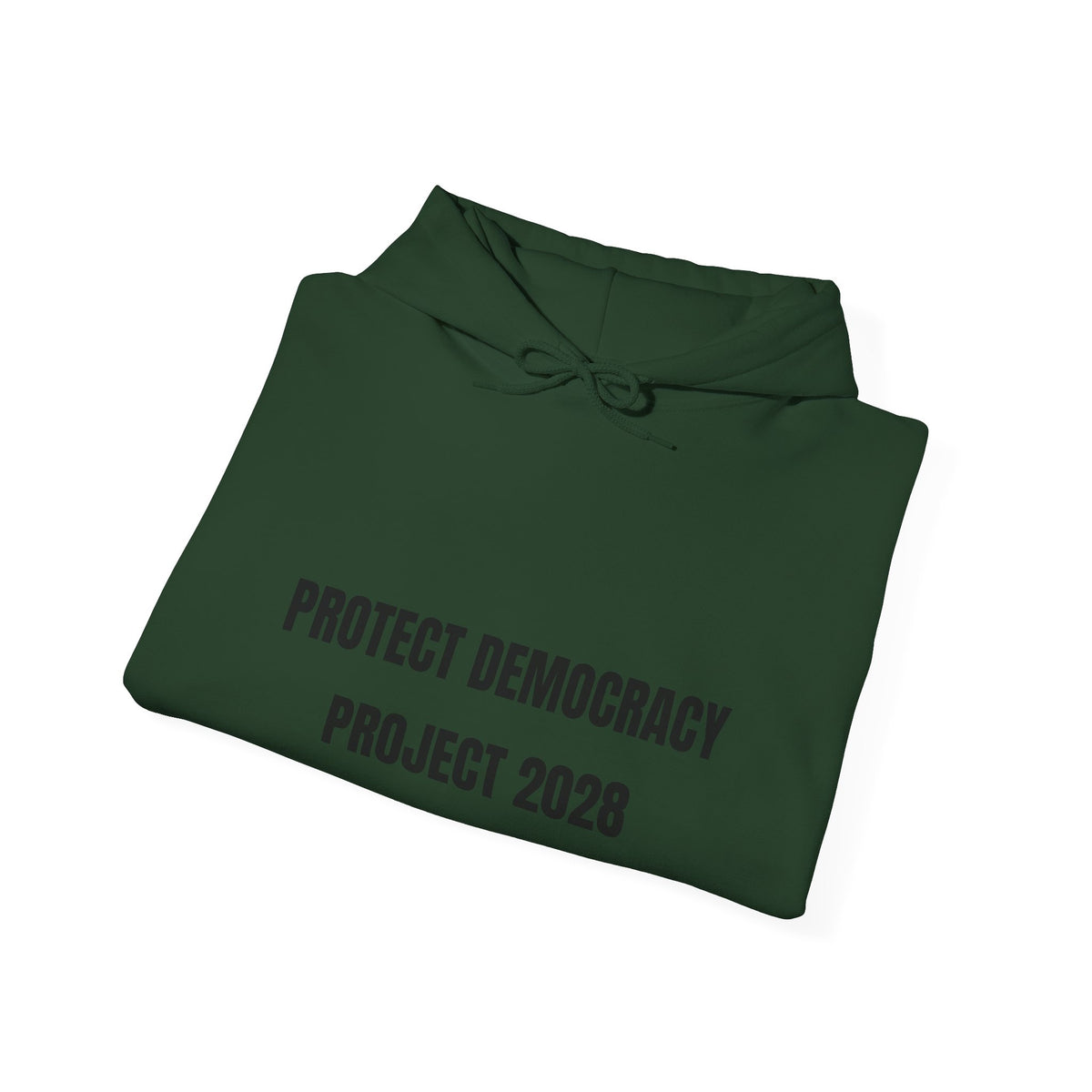 Protect Democracy Project 2028 Hoodie | Social Awareness
