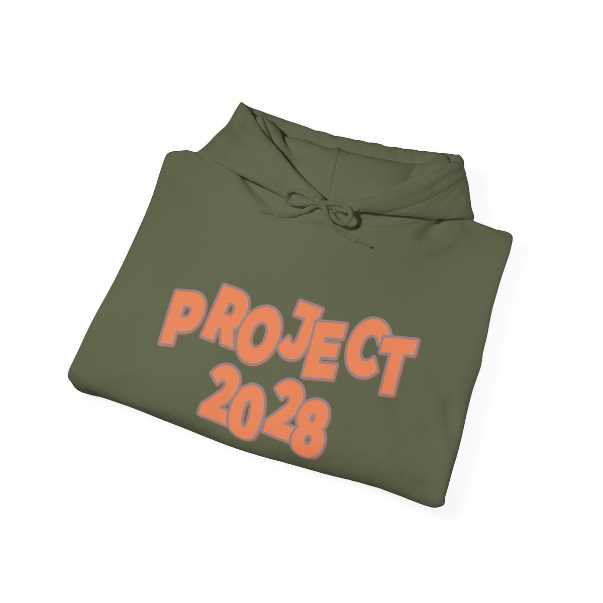 Project 2028 Hoodie | Democracy | Social Justice Message
