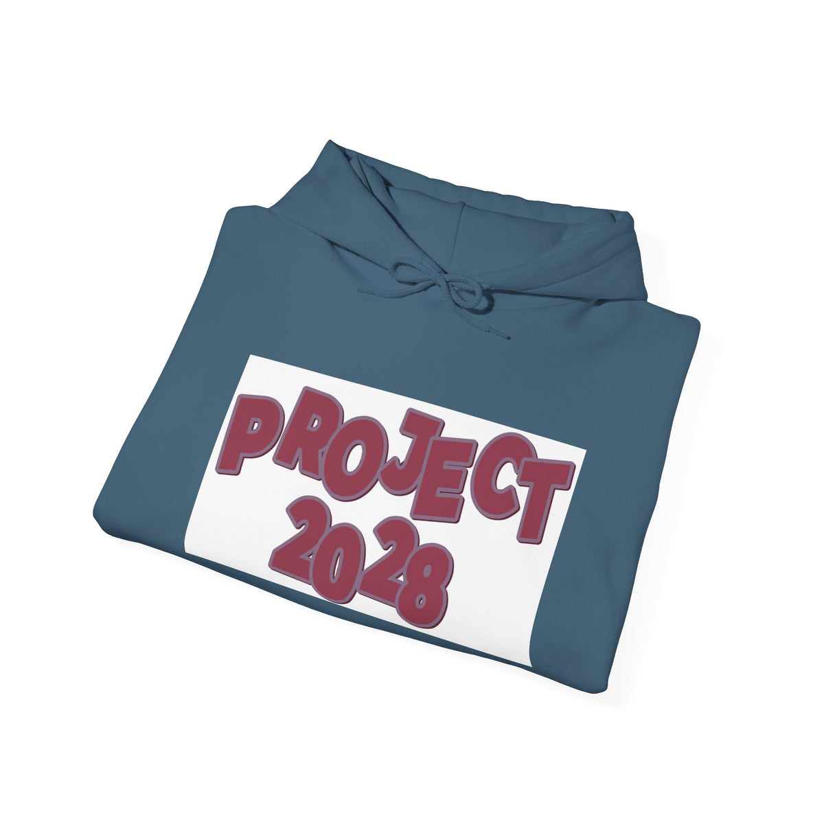 Project 2028 hoodie | Democracy Isn't Automatic back print