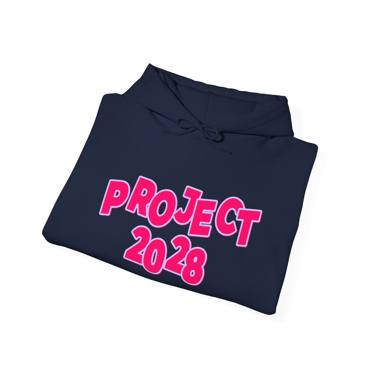 Project 2028 Hoodie | Democracy | Civic Duty