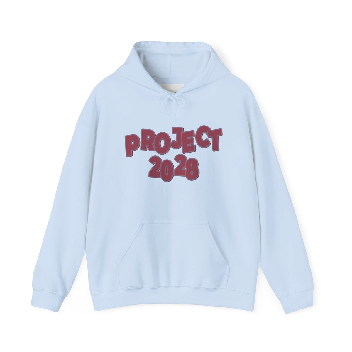 Project 2028 Hoodie | 'Democracy I Civic Engagement