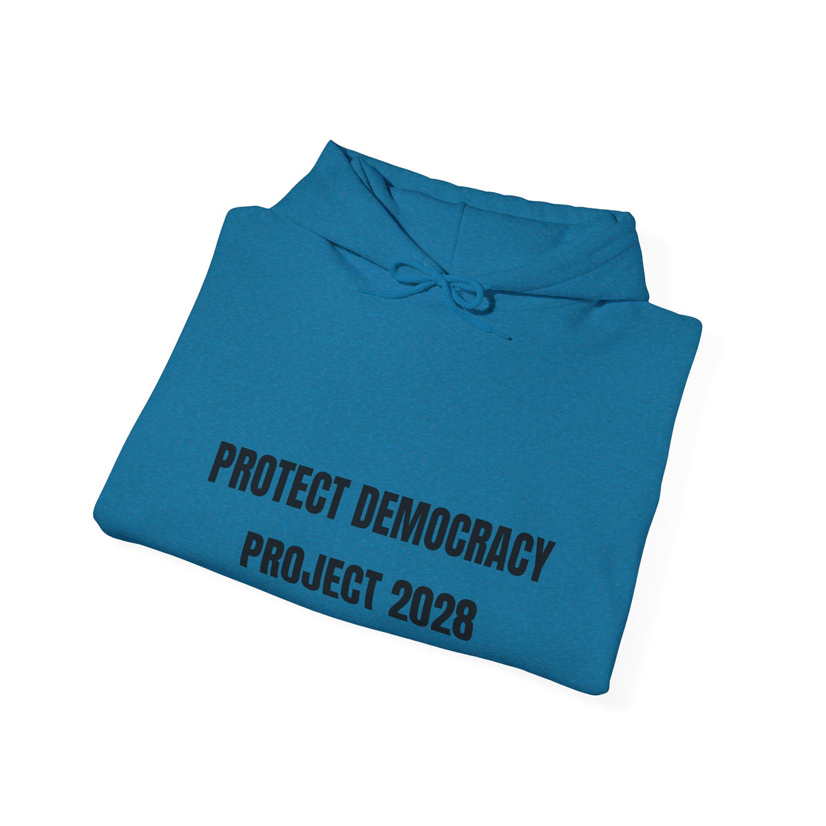 Protect Democracy Project 2028 Hoodie | democracy text design