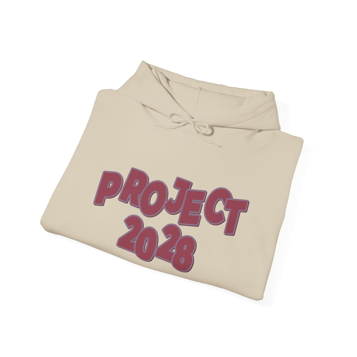 Project 2028 Hoodie | Social Awareness - 2