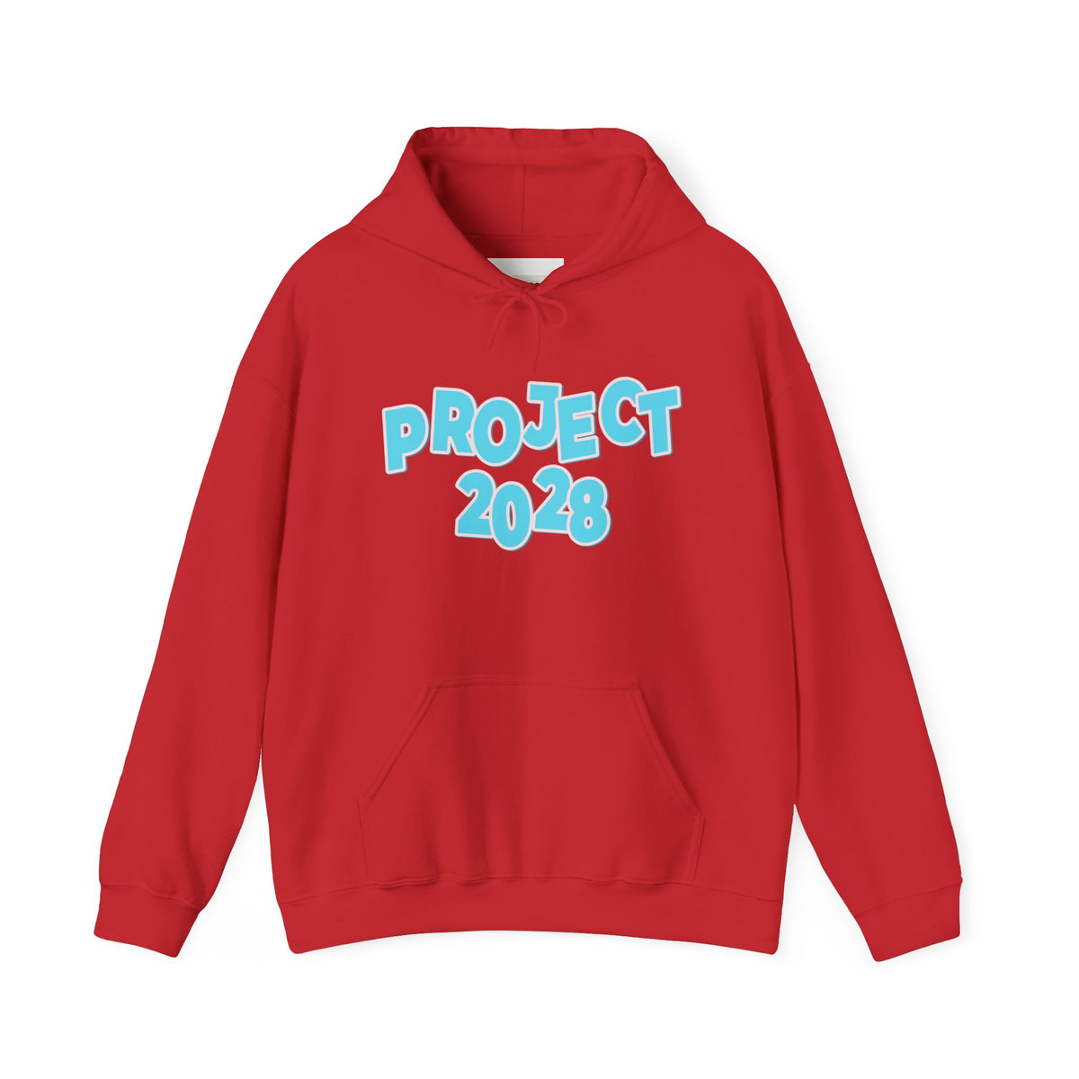 Project 2028 Hoodie | Democracy | Social Awareness