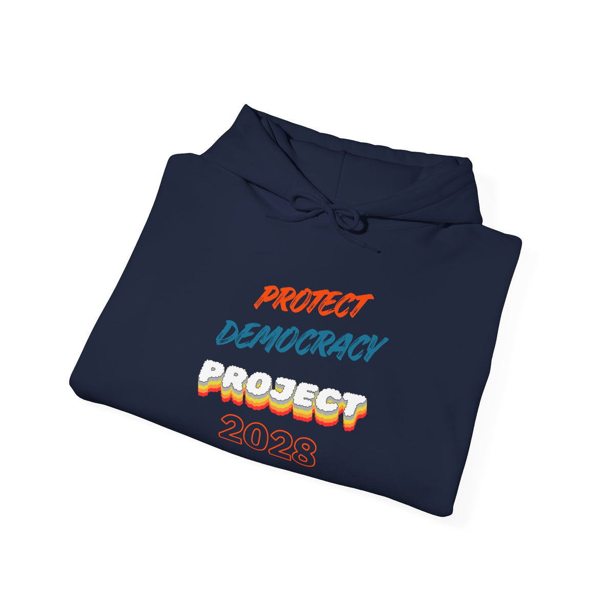 Protect Democracy Project 2028 Hoodie | Social Awareness
