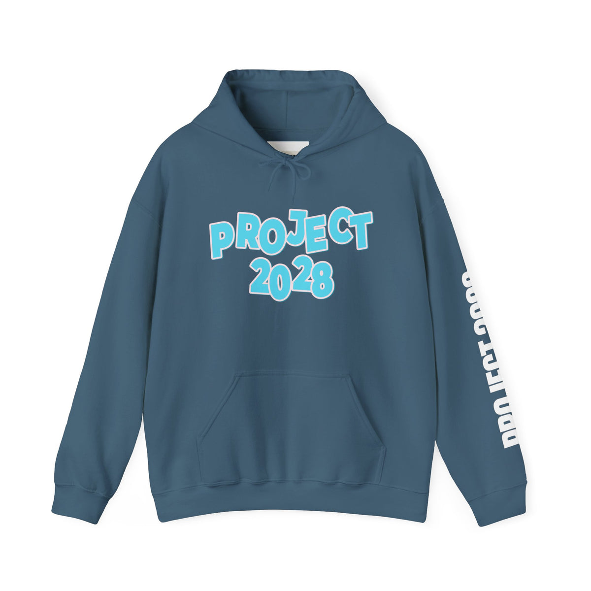 Project 2028 Hoodie | Democracy | Social Awareness