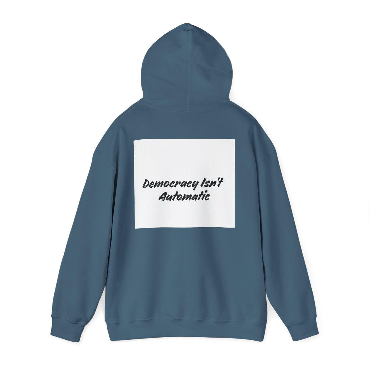 Protect Democracy Project 2028 Hoodie | Social Awareness