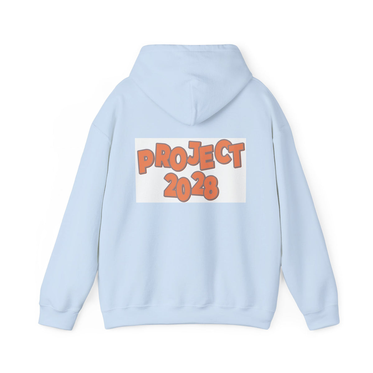 Project 2028 Hoodie | Protect Democracy text design