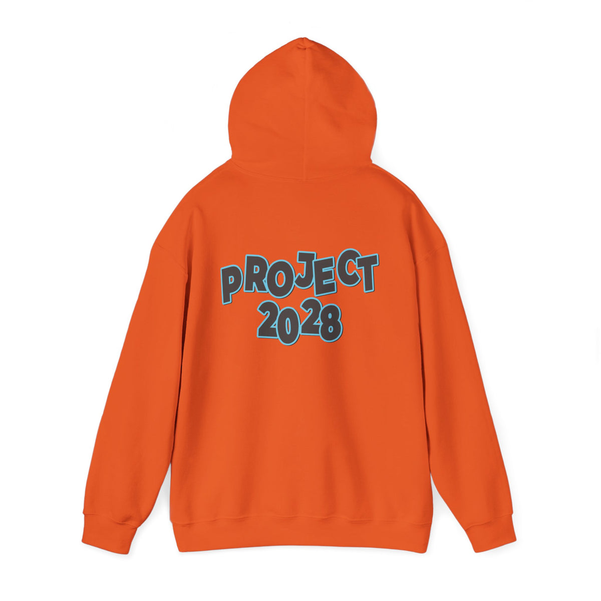 Project 2028 Hoodie | Protect Democracy, Project 2028 design
