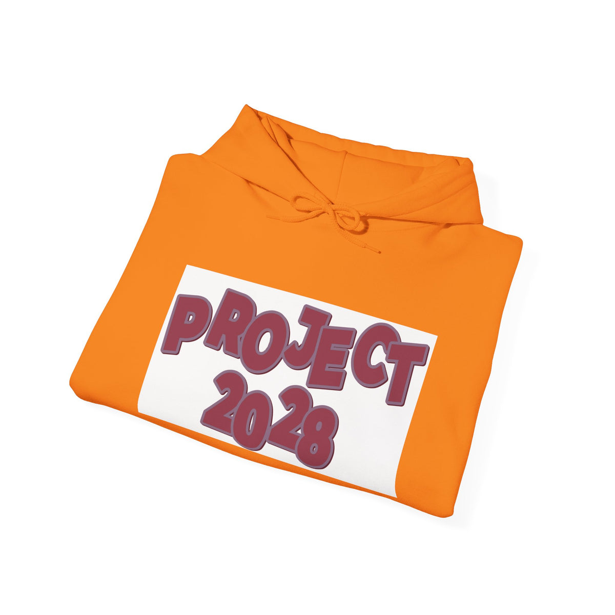 Project 2028 hoodie | Democracy Isn't Automatic back print