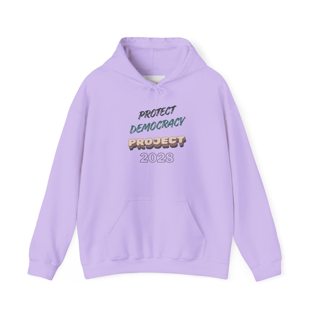 Project 2028 Hoodie | Protect Democracy graphic hoodie