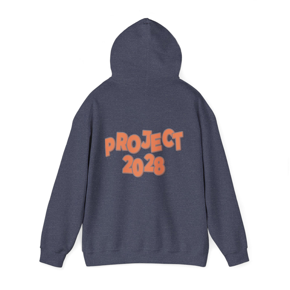 Protect Democracy Project 2028 Hoodie | Social Awareness