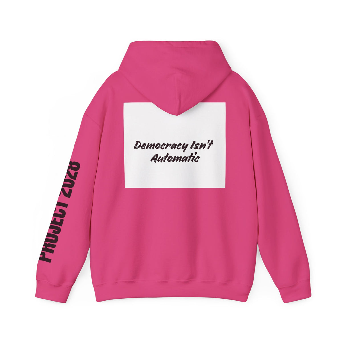 Protect Democracy Project 2028 Hoodie | Social Awareness
