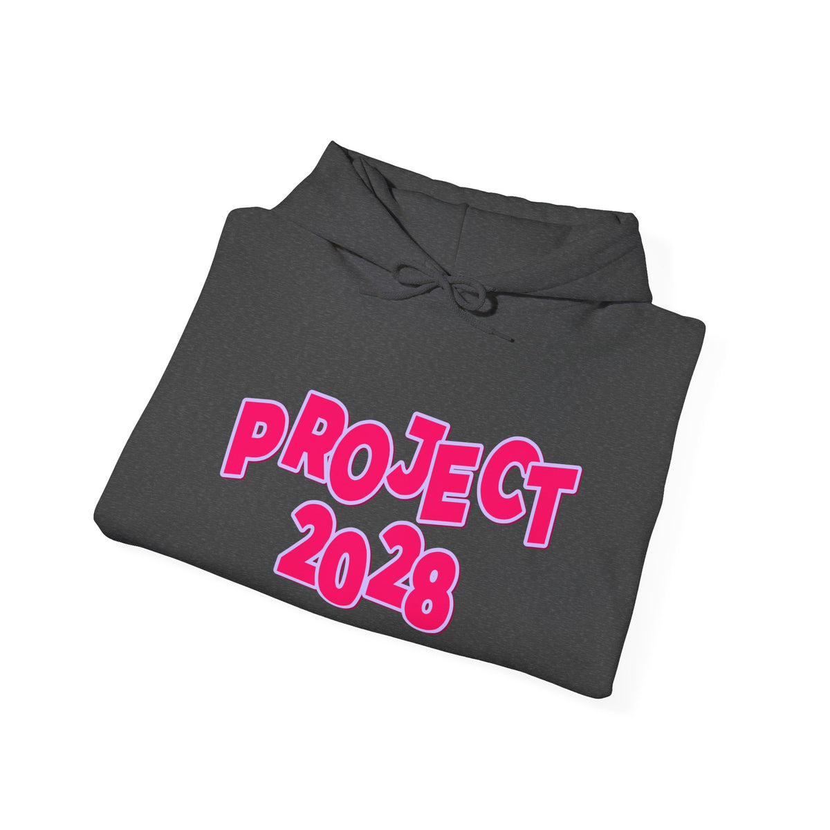 Project 2028 Hoodie | Social Awareness