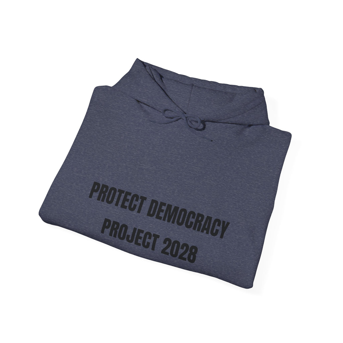 Protect Democracy Project 2028 Hoodie | Social Awareness