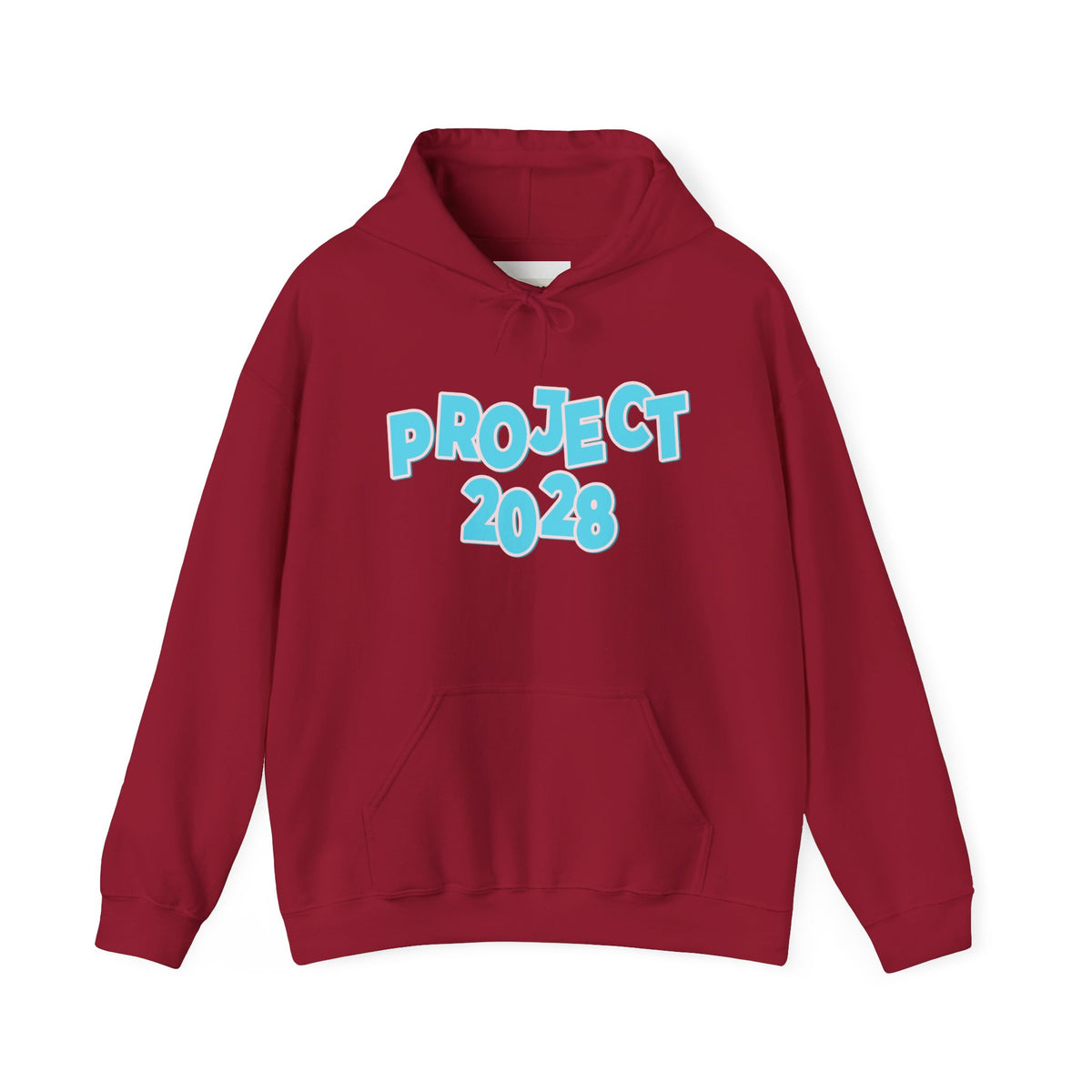 Project 2028 Hoodie | Democracy | Social Awareness