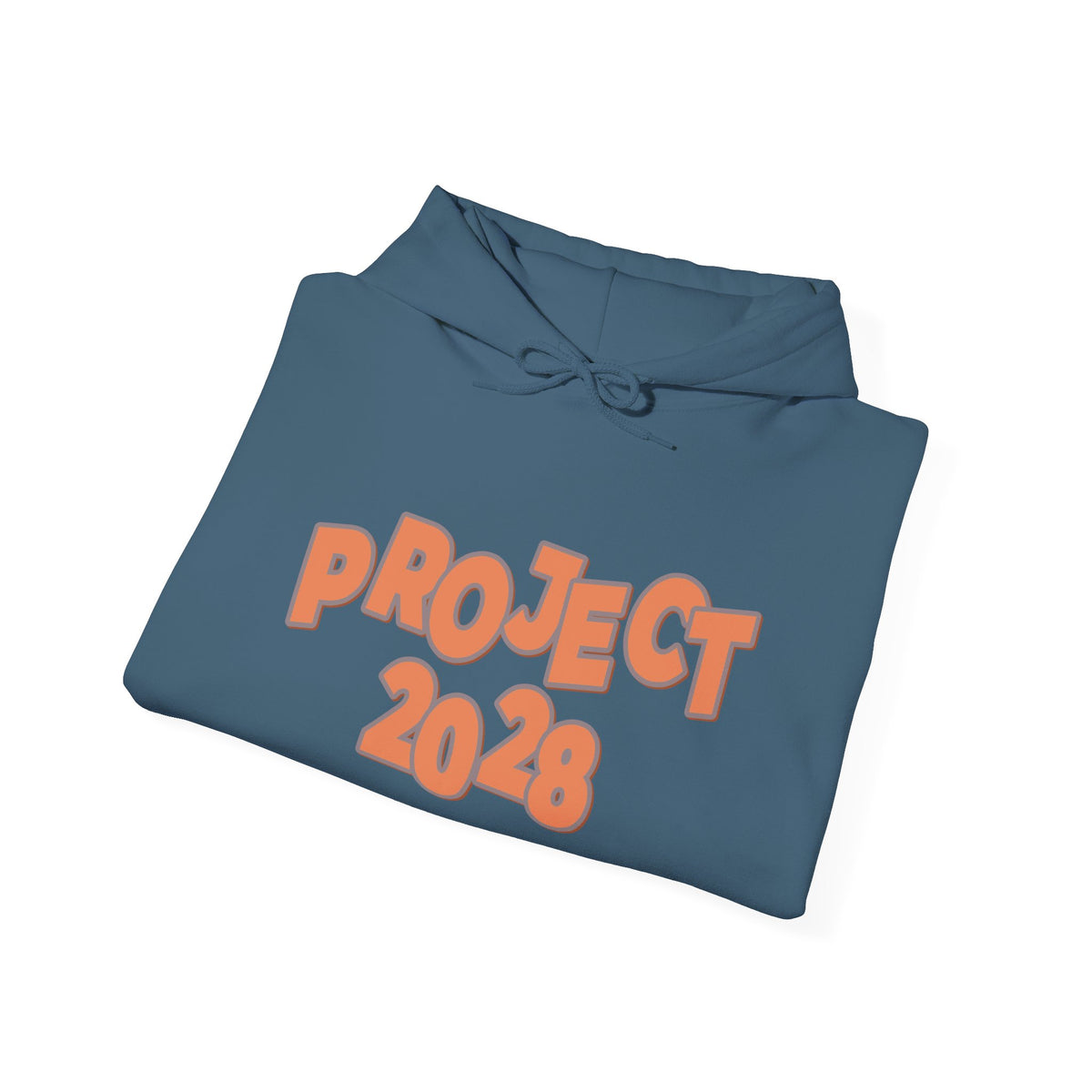 Project 2028 Hoodie | Democracy | Social Justice Message
