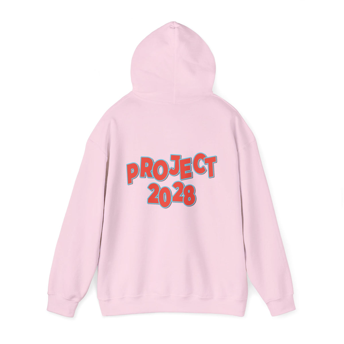 Action Project 2028 Hoodie | Democracy Movement Sweatshirt