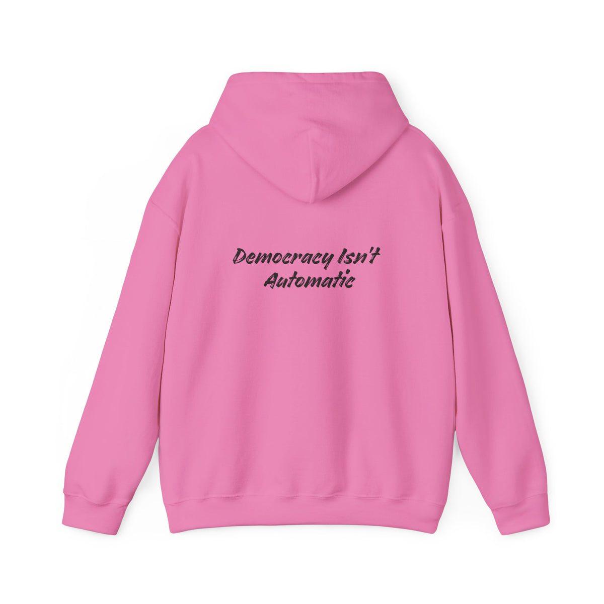 Protect Democracy Project 2028 Hoodie | democracy text design