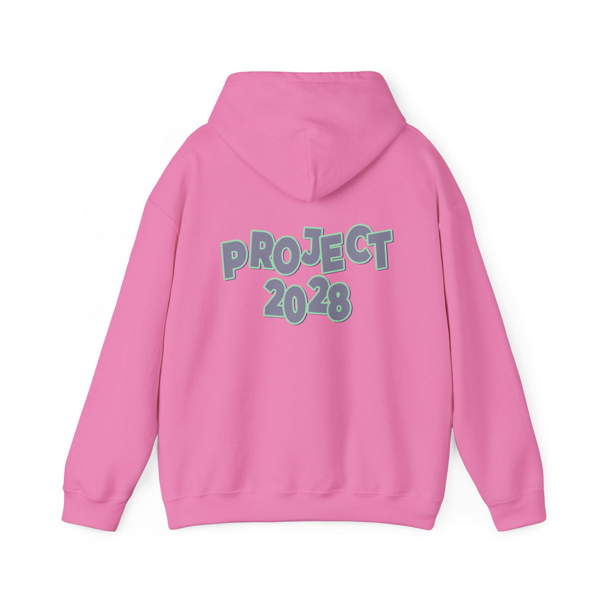 Project 2028 Hoodie | Protect Democracy graphic hoodie
