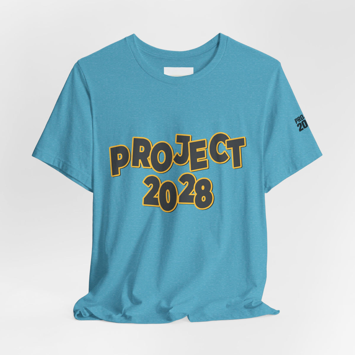 Project 2028 Graphic Tee — "Spirit Airlines Is Gone. Democracy Could Be Next. Vote Blue." Political Statement T-Shirt - Make a Statement Without Saying a Word!